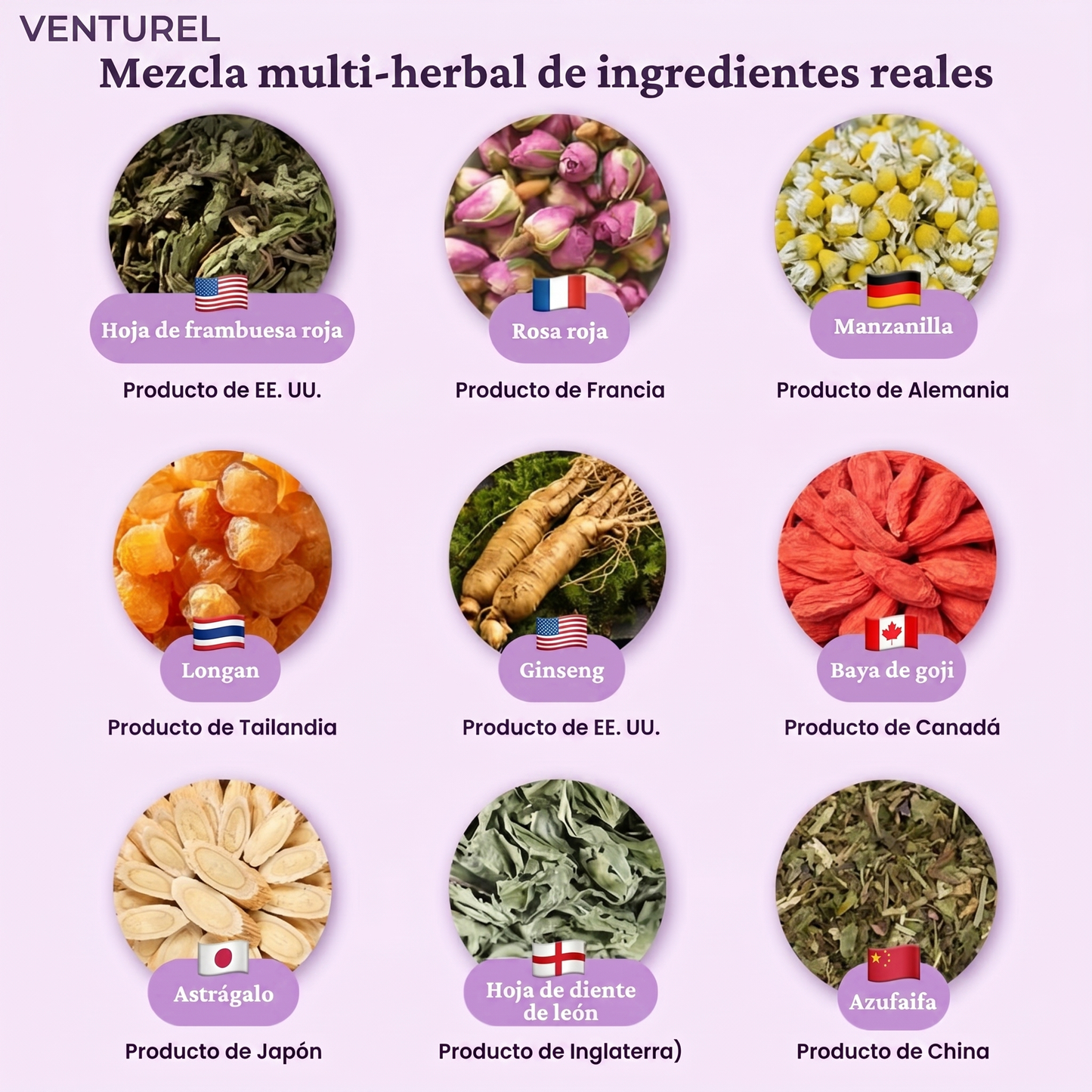 iTREE Vital-Tea - Equilibrio Hormonal Natural | Vuelve a sentirte tú misma.